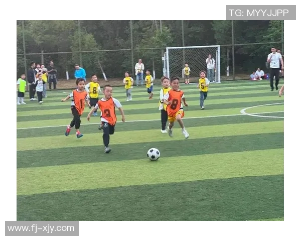 从牵羊少年到绿茵场传奇 他如何一步步成就足球梦想 从牵羊少年到绿茵场传奇 他如何一步步成就足球梦想