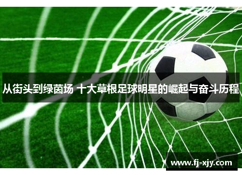从街头到绿茵场 十大草根足球明星的崛起与奋斗历程